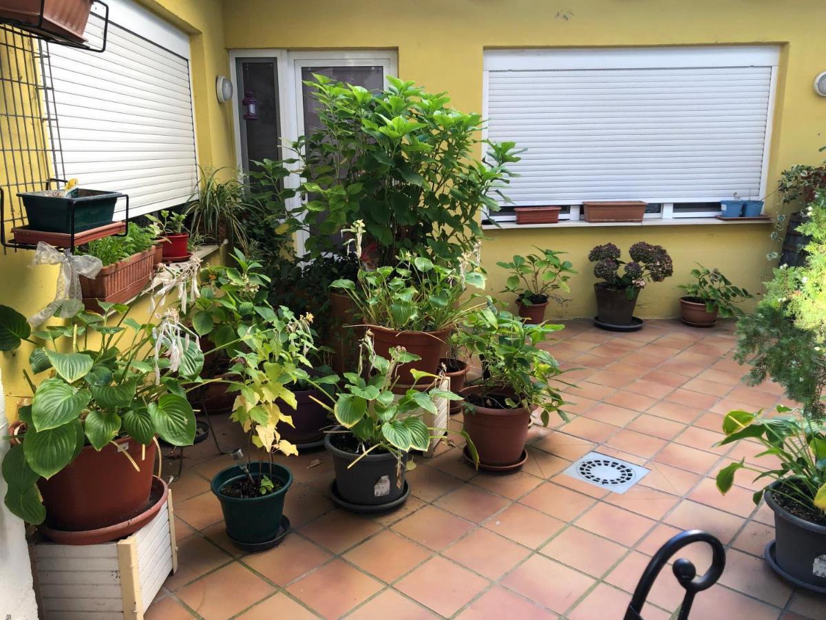 Escartín Pensión 5*